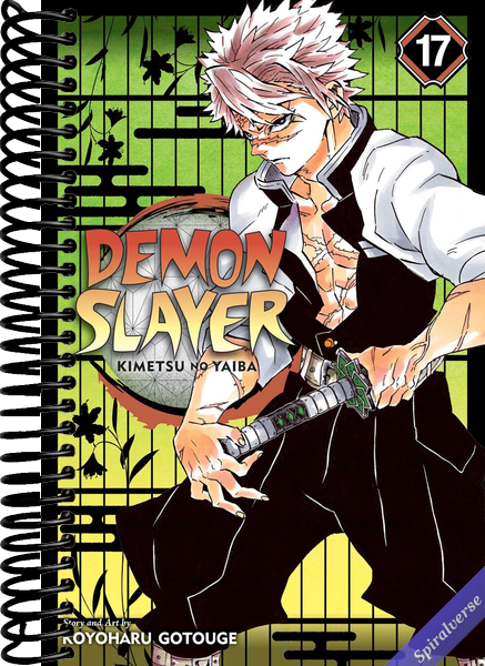 Demon Slayer: Kimetsu no Yaiba, Vol. 17