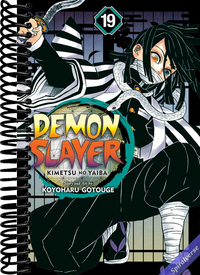 Demon Slayer: Kimetsu no Yaiba, Vol. 19