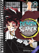 Demon Slayer: Kimetsu no Yaiba, Vol. 20