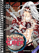 Demon Slayer: Kimetsu no Yaiba, Vol. 22