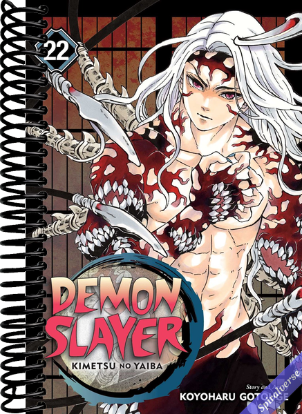Demon Slayer: Kimetsu no Yaiba, Vol. 22