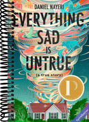 Everything Sad Is Untrue (a true story)