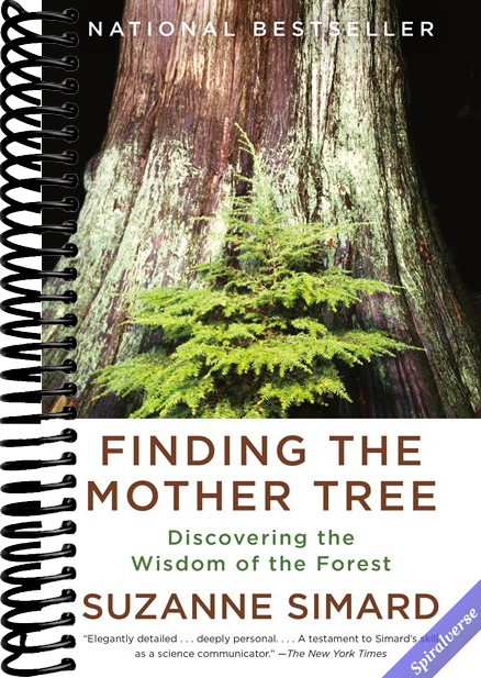 Finding the Mother Tree: Discovering the Wisdom of the Forest
