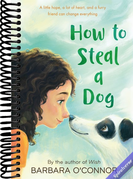 How to Steal a Dog