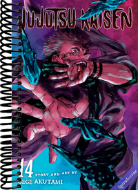 Jujutsu Kaisen, Vol. 14