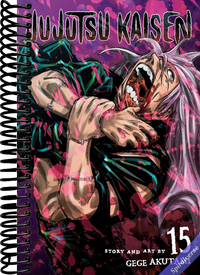 Jujutsu Kaisen, Vol. 15