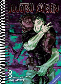 Jujutsu Kaisen, Vol. 8