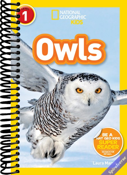 Owls (National Geographic Kids Readers, Level 1)