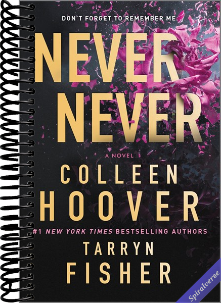 Never Never: A Romantic Suspense Novel of Love and Fate