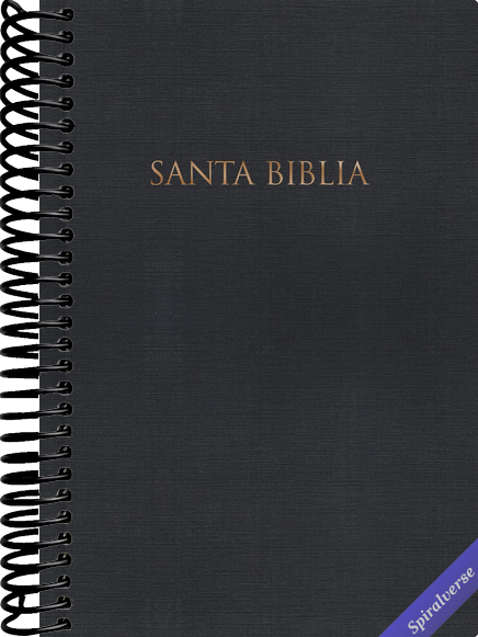 Biblia Reina Valera 1960 para Regalos y Premios, tapa dura, negro | RVR 1960 Gift and Award Holy Bible, Hardcover, Black (Spanish (Spanish Edition)