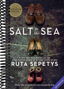 Salt to the Sea