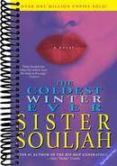 The Coldest Winter Ever: A Novel (The Winter Santiaga Series)
