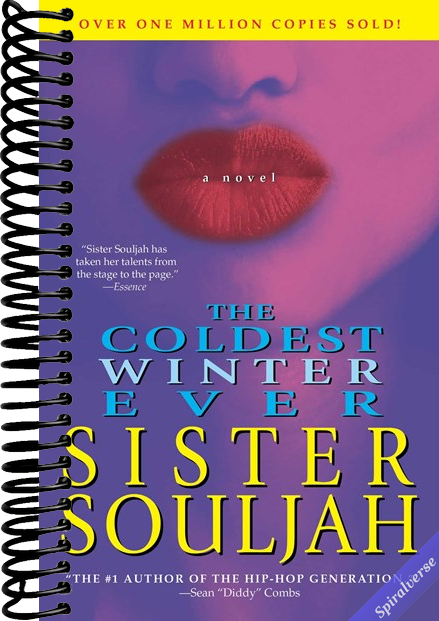 The Coldest Winter Ever: A Novel (The Winter Santiaga Series)