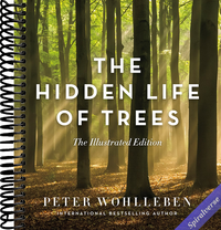 The Hidden Life of Trees: The Illustrated Edition (David Suzuki Institute)