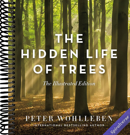 The Hidden Life of Trees: The Illustrated Edition (David Suzuki Institute)