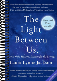 The Light Between Us: Stories from Heaven. Lessons for the Living.