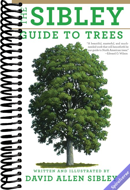 The Sibley Guide to Trees