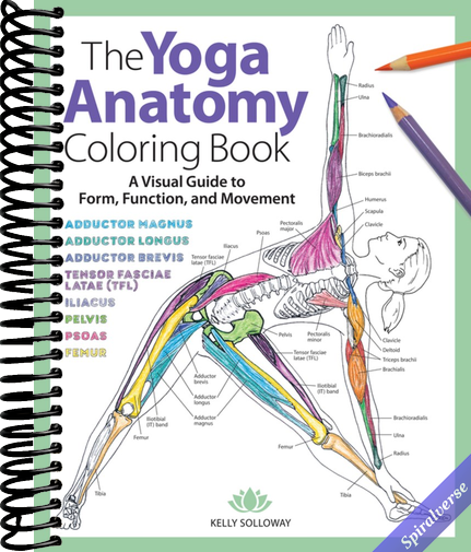 Yoga Anatomy Coloring Book: A Visual Guide to Form, Function, and Movement - An Educational Anatomy Coloring Book for Medical Students, Yoga Enthusiasts, Teachers & Adults (Volume 1)