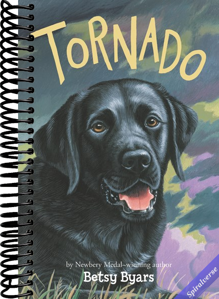Tornado (Trophy Chapter Book)