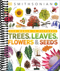 Trees, Leaves, Flowers and Seeds: A Visual Encyclopedia of the Plant Kingdom (DK Our World in Pictures)