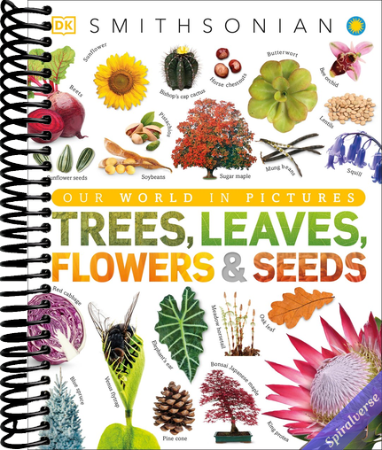 Trees, Leaves, Flowers and Seeds: A Visual Encyclopedia of the Plant Kingdom (DK Our World in Pictures)